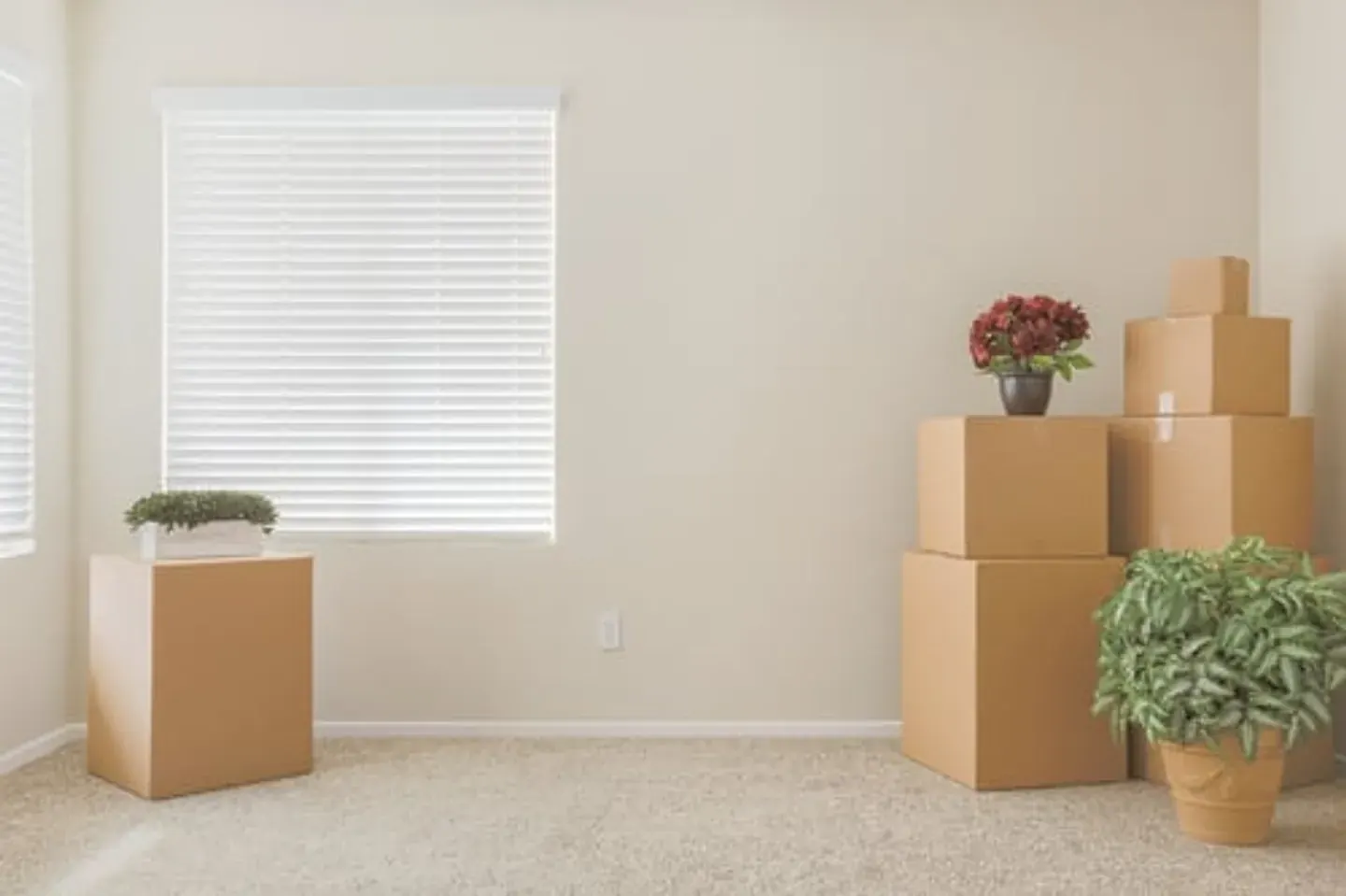 Empty room with packed moving boxes ready for a move-out clean