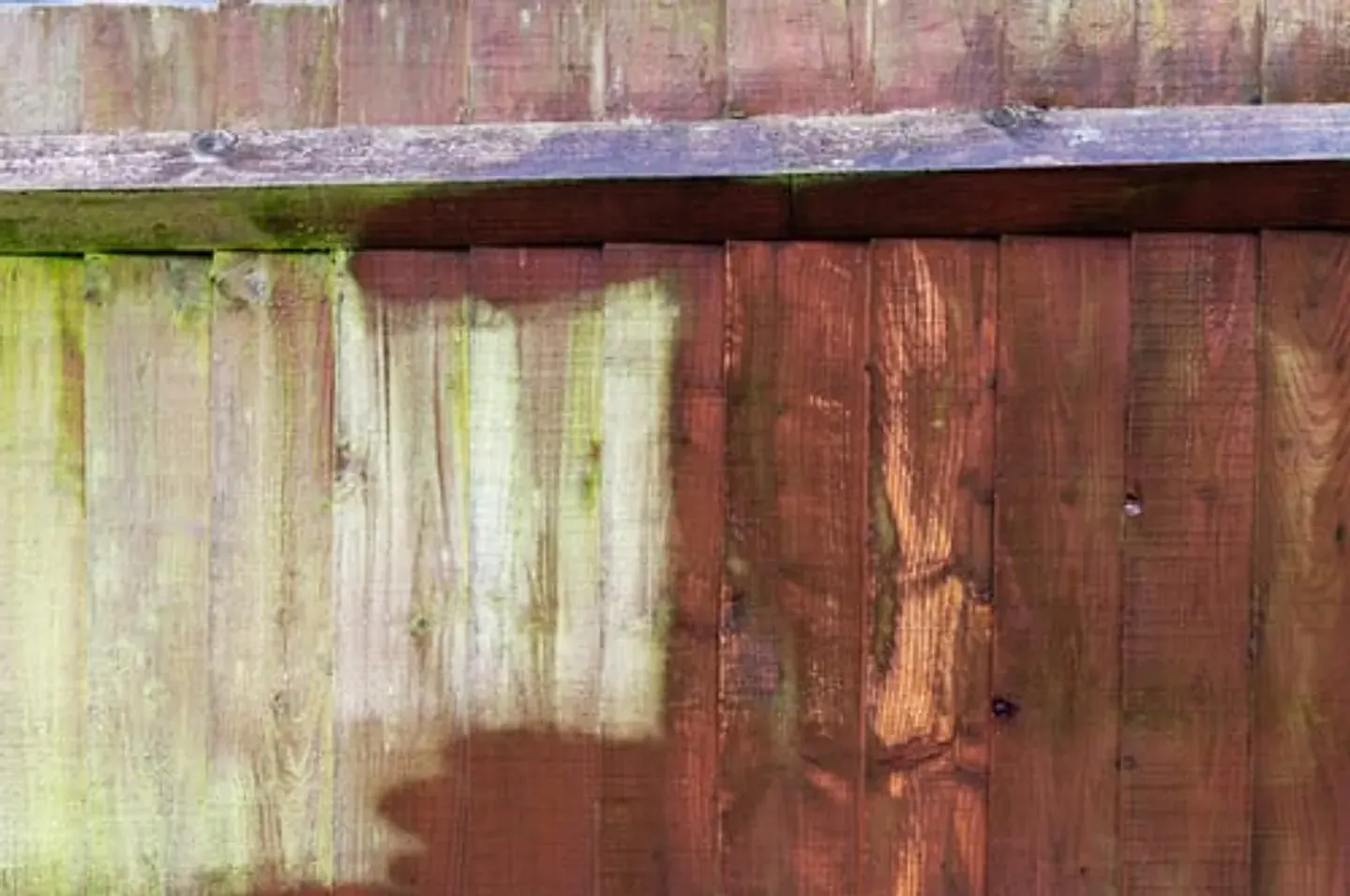 Wooden fence showing a clean section after power washing